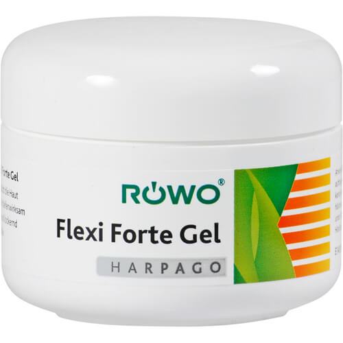 ROEWO FLEXI FORTE 100 ml