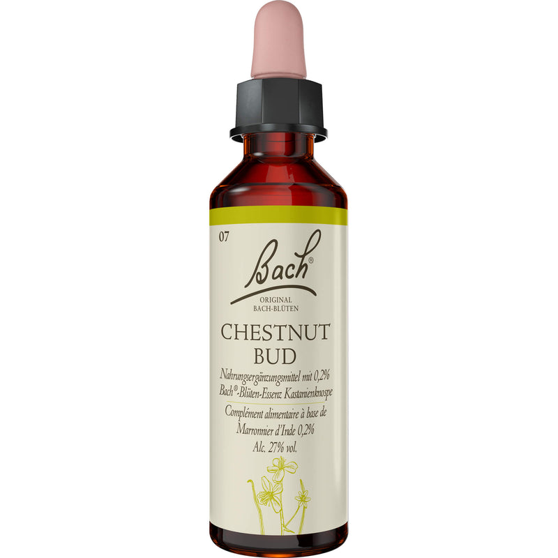 BACH BLUETE CHESTNUT BUD 20 ml