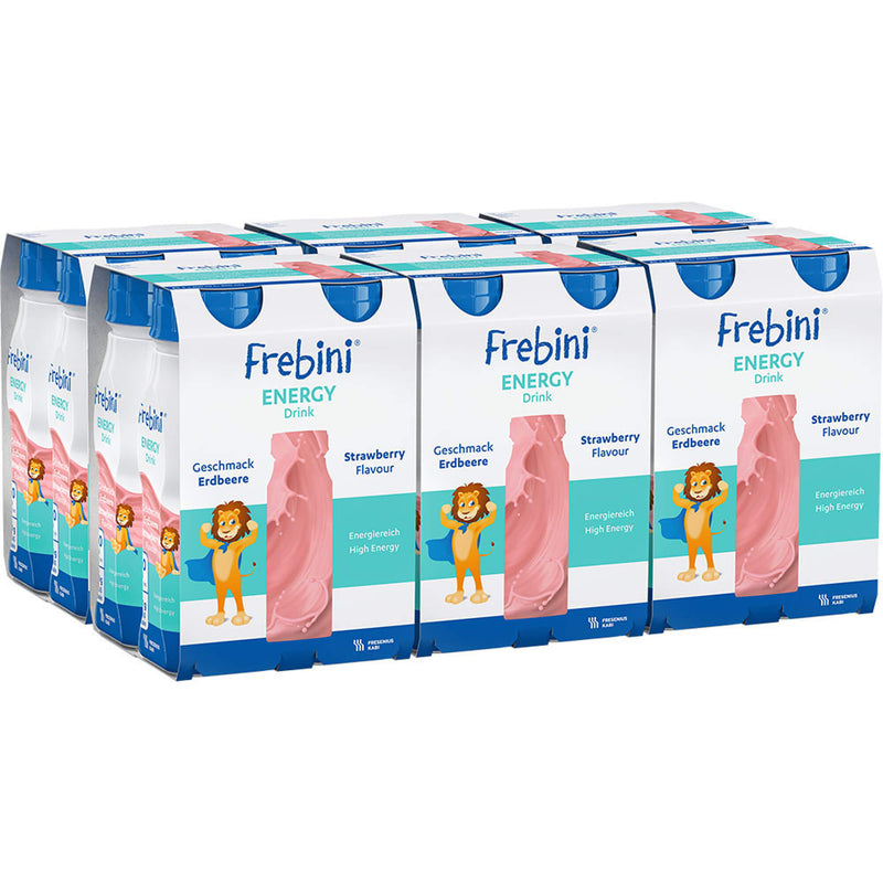 FREBINI ENERGY DRINK ERDBE 6X4X200 ml