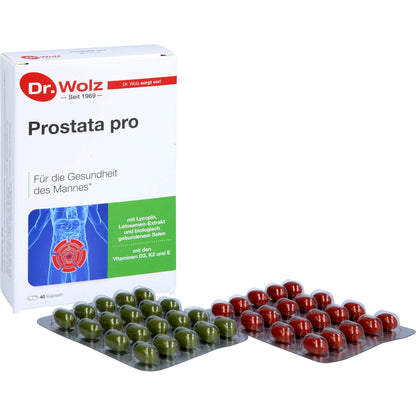 PROSTATA PRO Dr.Wolz Kapseln 2X20 St