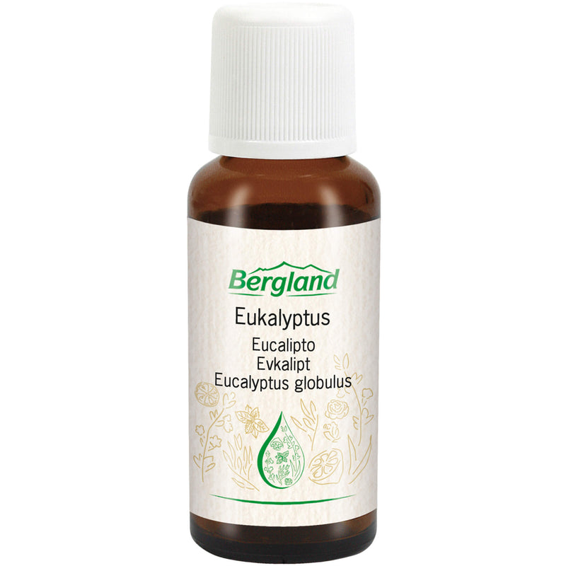 EUKALYPTUS OEL NATUERLICH 30 ml