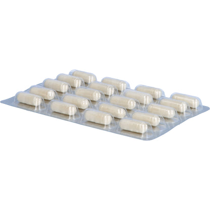 OSTEO CORAL D3 Dr.Wolz Kapseln 60 St