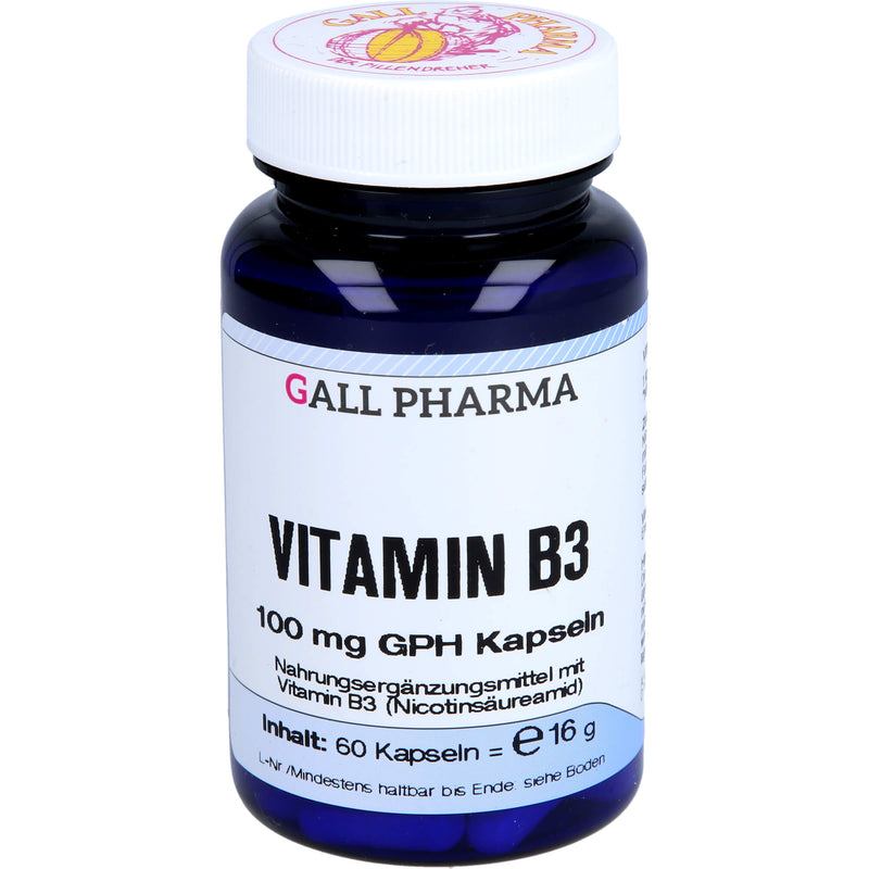 VITAMIN B3 100MG GPH KAP 60 St