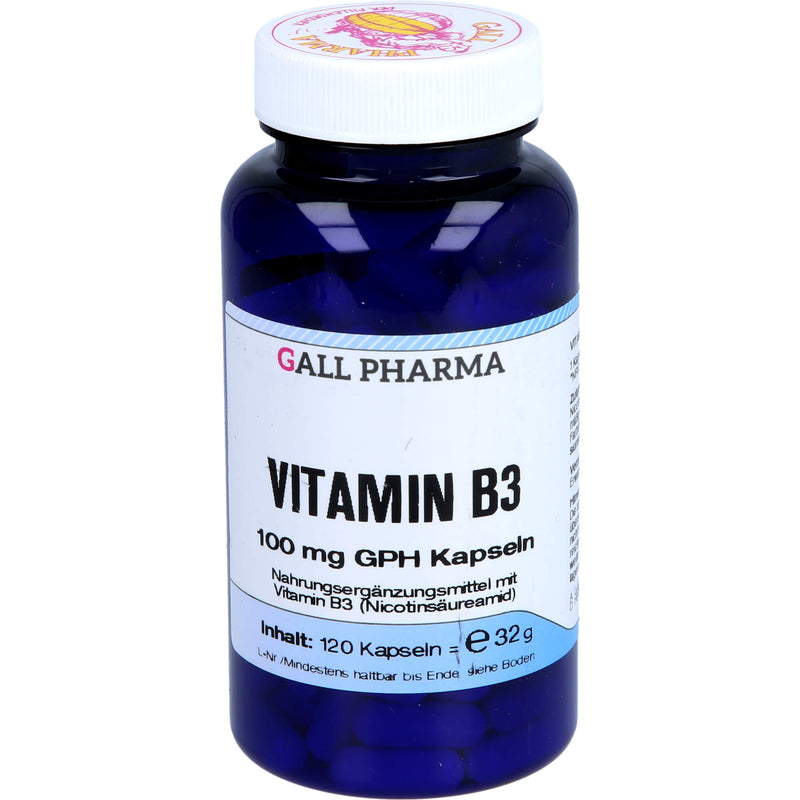 VITAMIN B3 100MG GPH KAP 120 St