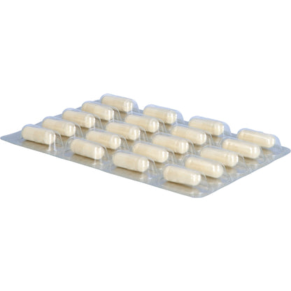DARMFLORA plus select Kapseln 40 St