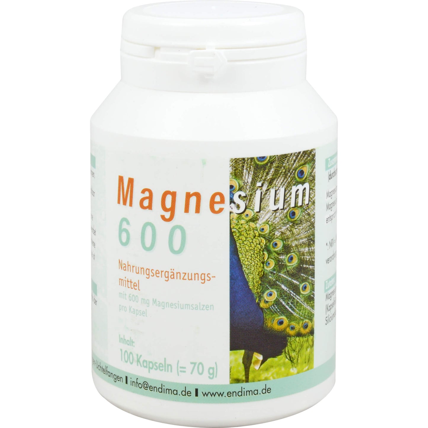 MAGNESIUM 600 Kapseln 100 St