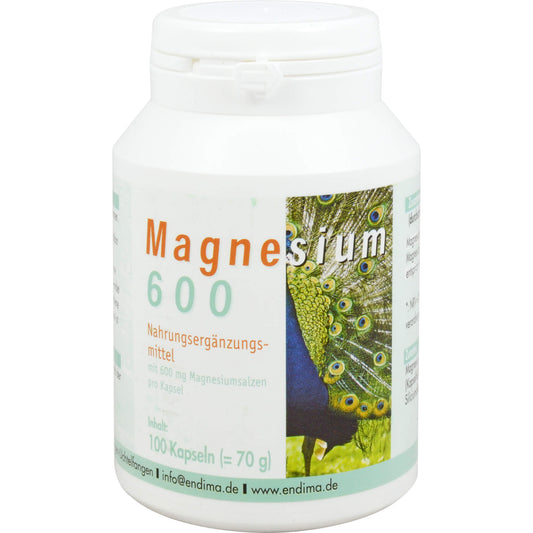 MAGNESIUM 600 Kapseln 100 St