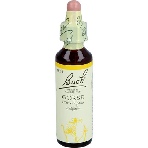 BACH BLUETE GORSE 20 ml