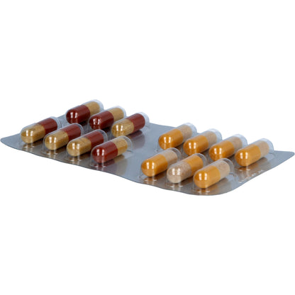 TRIVITAL mental Kapseln 56 St