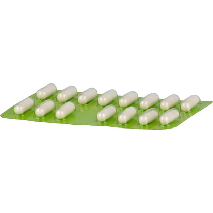 FRUCTAID Kapseln 120 St
