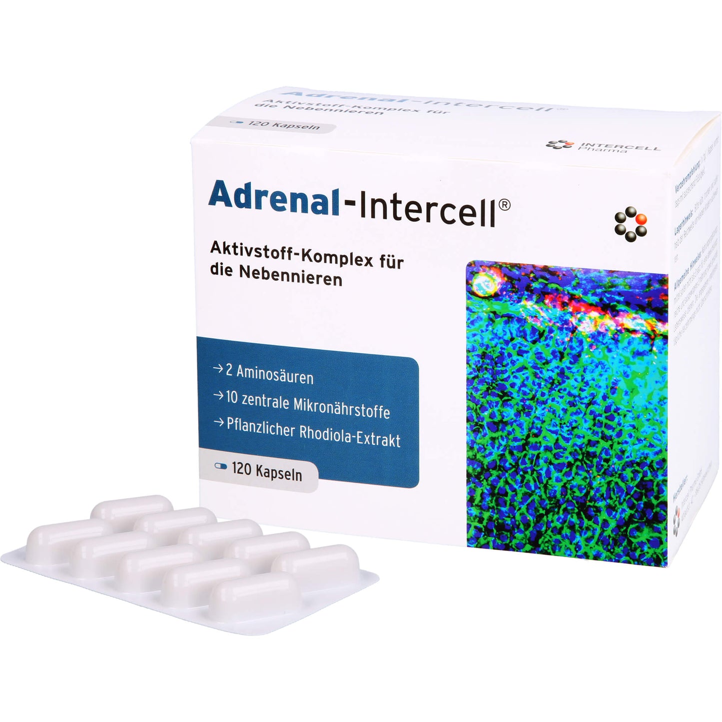 ADRENAL-Intercell Kapseln 120 St