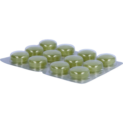 ANGINETTEN Stimme Lutschtabletten 24 St