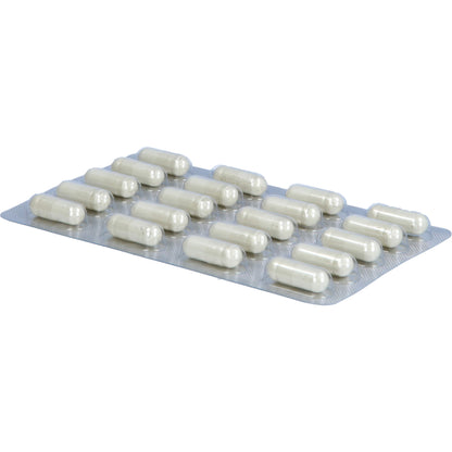 FROXIMUN TOXAPREVENT MEDI PURE Kapseln 180 St