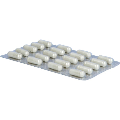 FROXIMUN TOXAPREVENT MEDI PURE Kapseln 60 St