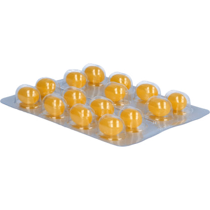 DOPPELHERZ Omega-3 pflanzlich system Kapseln 60 St