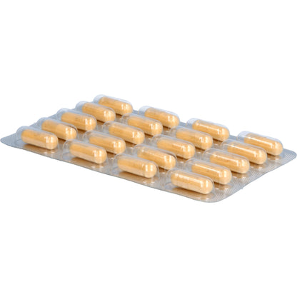 VITAMIN B KOMPLEX Kapseln 120 St