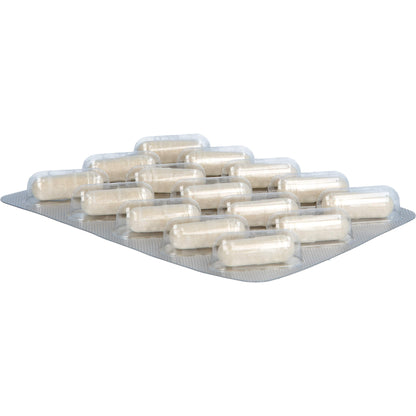 ALLVENT intens Kapseln 60 St
