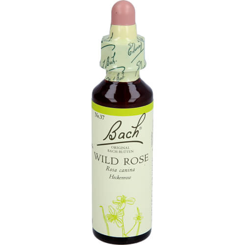 BACH BLUETE WILD ROSE 20 ml