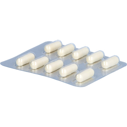 VIVATLAC SYNBIOTIKUM magensaftresistente Kapseln 10 St