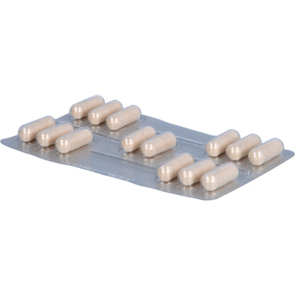SANDERMIN plus Kapseln 28 St