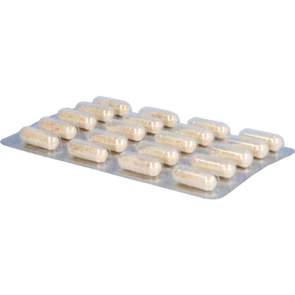 ORTHOEXPERT immun v Kapseln 60 St