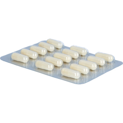 KADEFLORA Milchsäurebakterien mit Biotin Kapseln 30 St