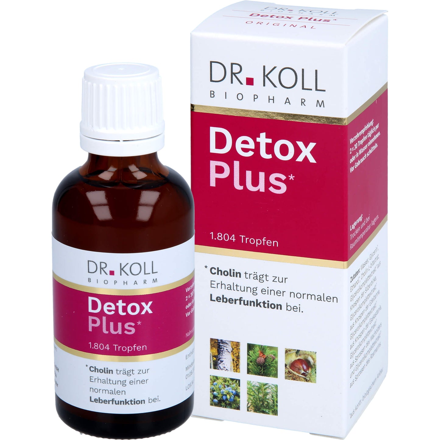 DETOX Plus Dr.Koll Gemmo Komplex Cholin Tropfen 50 ml