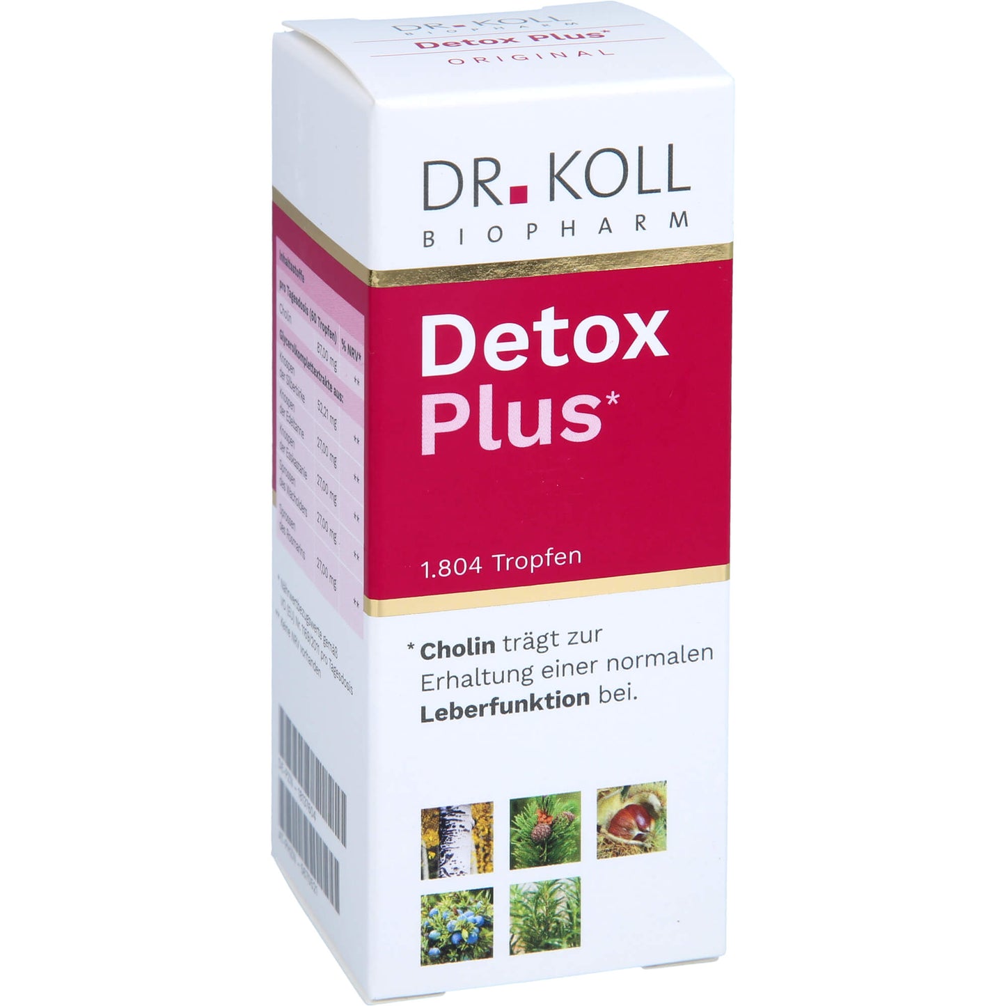 DETOX Plus Dr.Koll Gemmo Komplex Cholin Tropfen 50 ml