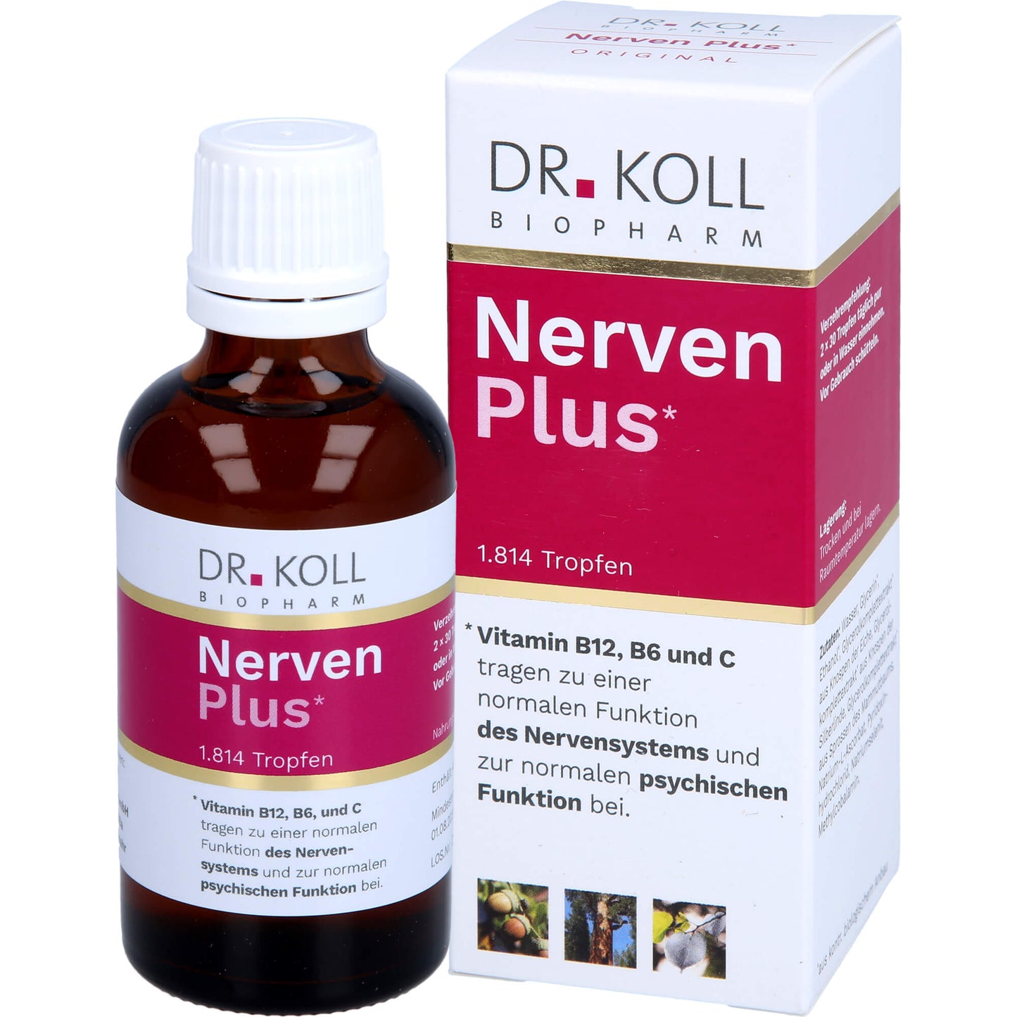 NERVEN PLUS Dr.Koll Gemmo Kompl.Vit.B12 B6 Tropfen 50 ml