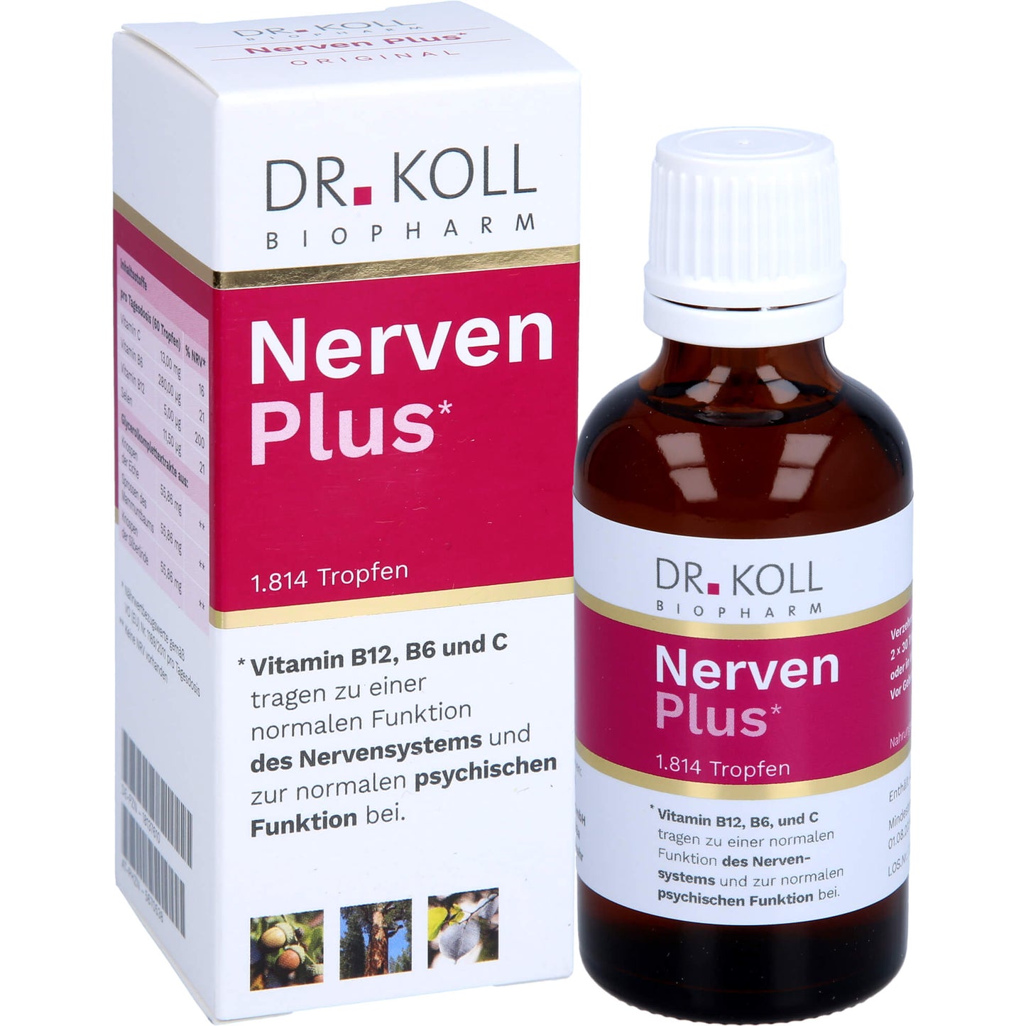 NERVEN PLUS Dr.Koll Gemmo Kompl.Vit.B12 B6 Tropfen 50 ml