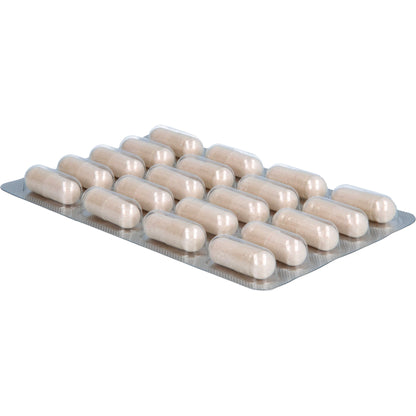 AURANATURA Fermentura BlasenVital Kapseln 60 St